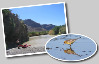 Our coverage area includes the cities you see listed here.  Click any of them to learn more about the area.  Call or e-mail us for more information.